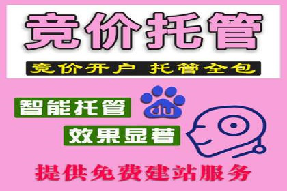 行业专家解读：专业SEM托管的五大成功案例